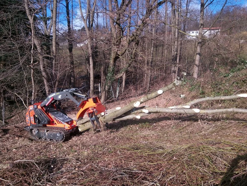 Cormidi CMF Multi-Function Skid Steer - Image 7